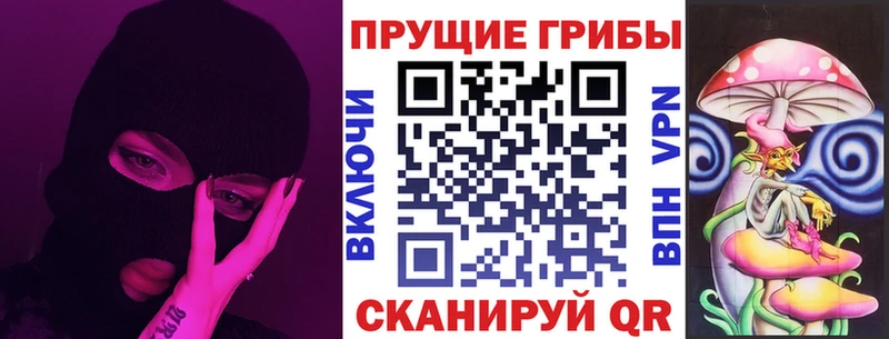 гидра маркетплейс  Разумное  Псилоцибиновые грибы Psilocybe 